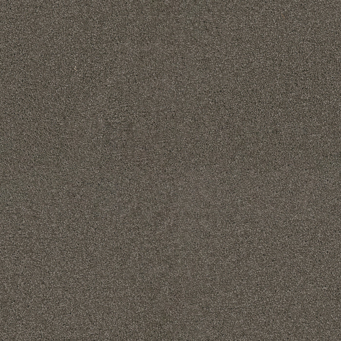 DreamWeaver - Exceptional II - Carpet