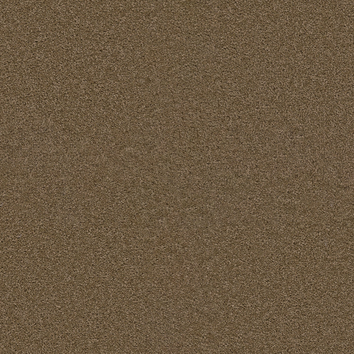 DreamWeaver - Exceptional II - Carpet