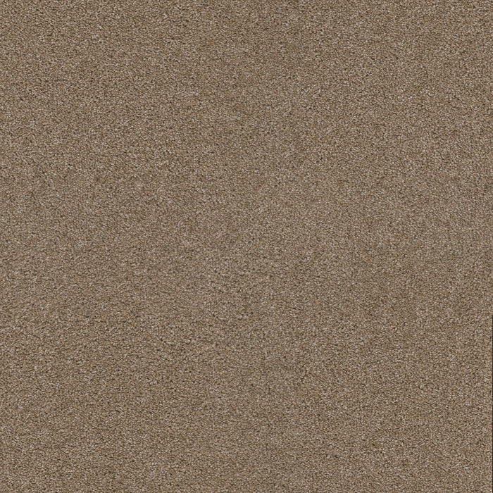 DreamWeaver - Exceptional II - Carpet