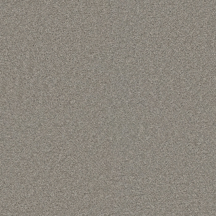 DreamWeaver - Exceptional II - Carpet