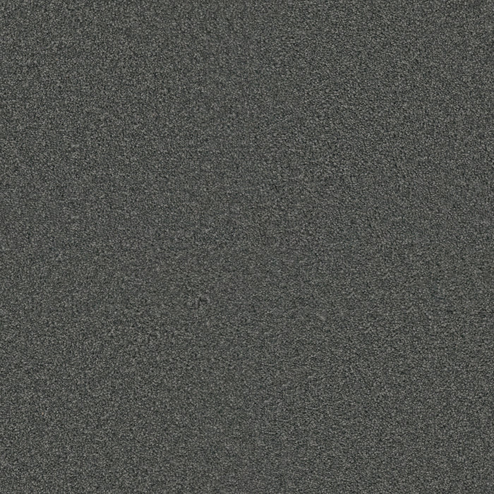 DreamWeaver - Exceptional II - Carpet