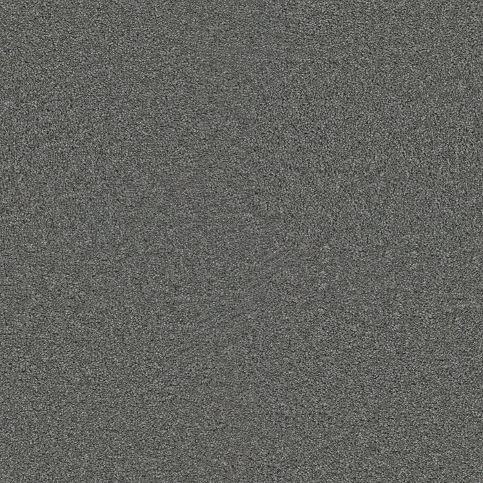 DreamWeaver - Exceptional II - Carpet