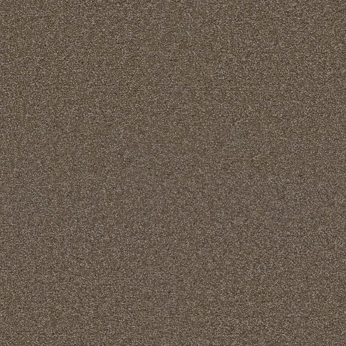 DreamWeaver - Exceptional II - Carpet