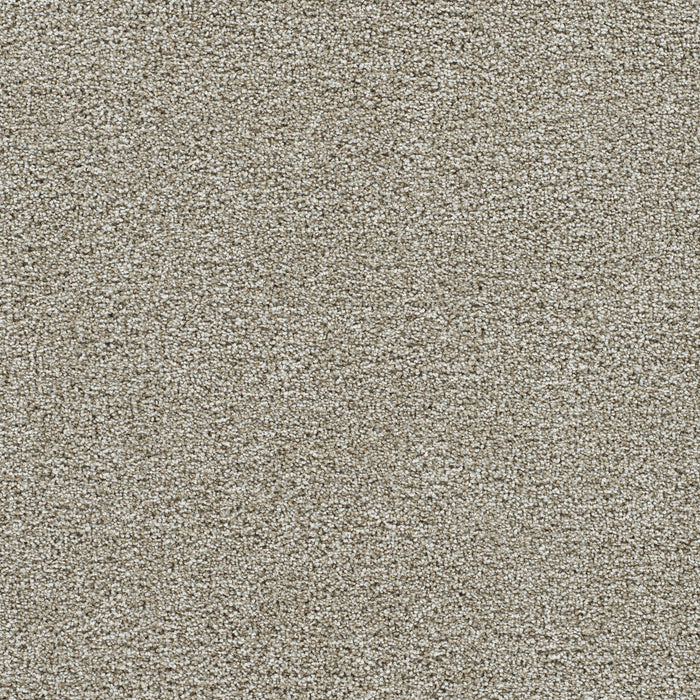 DreamWeaver - Gold Standard II - Carpet