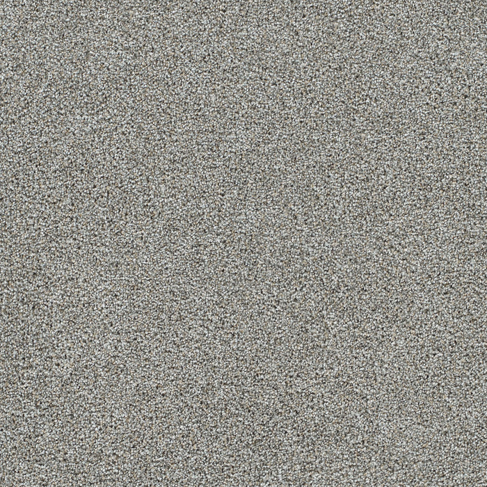 DreamWeaver - Gold Standard II - Carpet