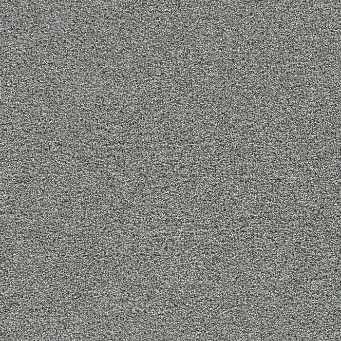 DreamWeaver - Gold Standard II - Carpet