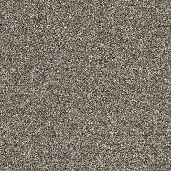 DreamWeaver - Gold Standard II - Carpet
