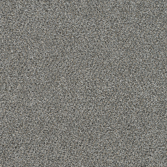 DreamWeaver - Gold Standard II - Carpet