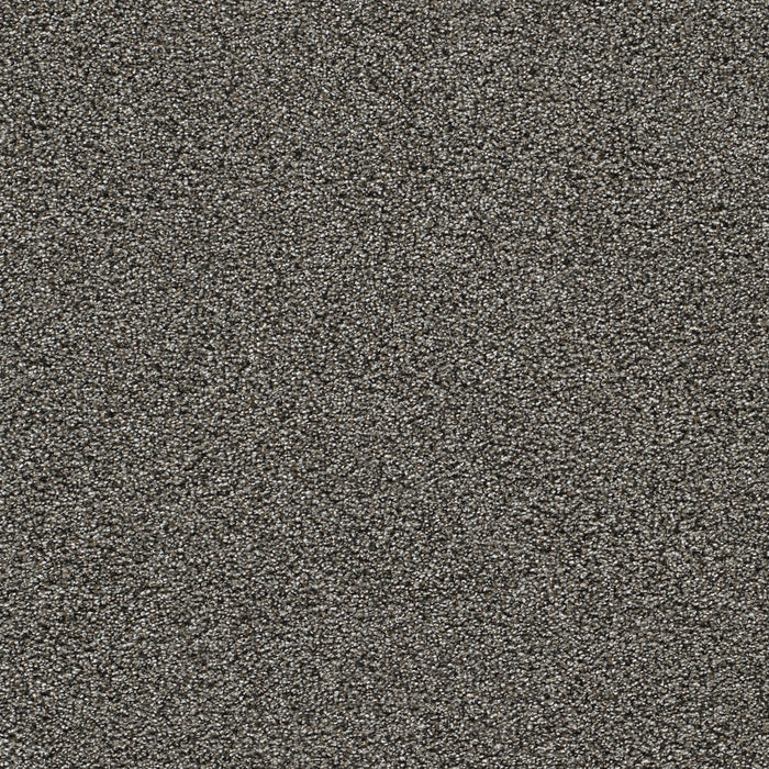 DreamWeaver - Gold Standard II - Carpet