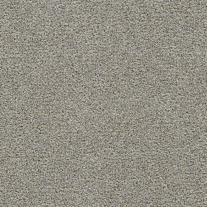 DreamWeaver - Gold Standard I - Carpet