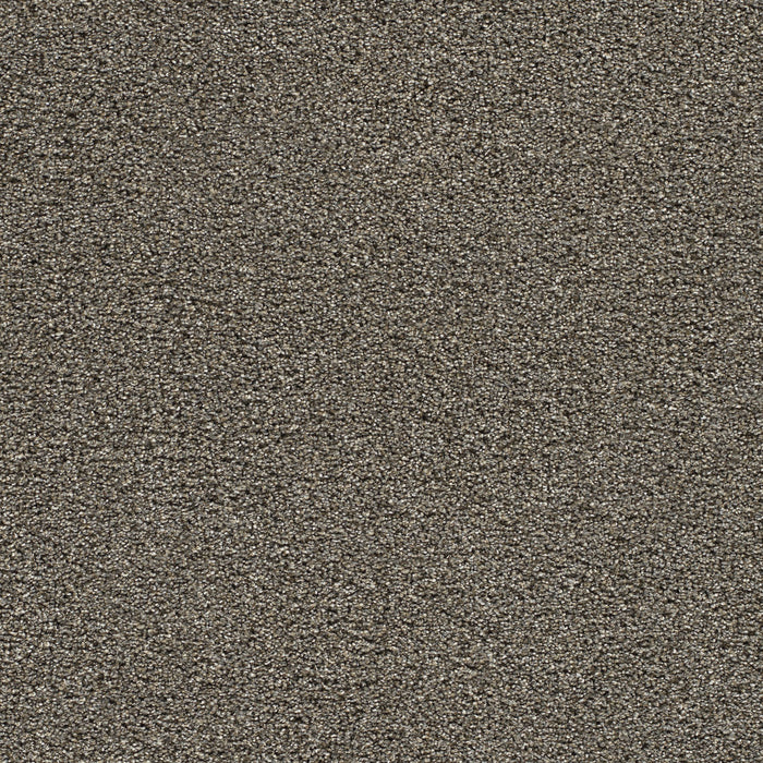 DreamWeaver - Gold Standard I - Carpet