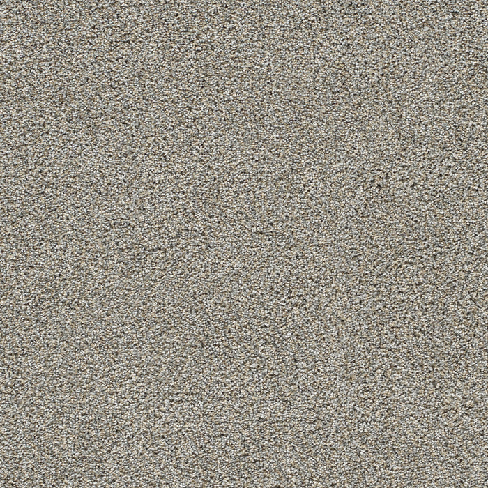 DreamWeaver - Gold Standard I - Carpet