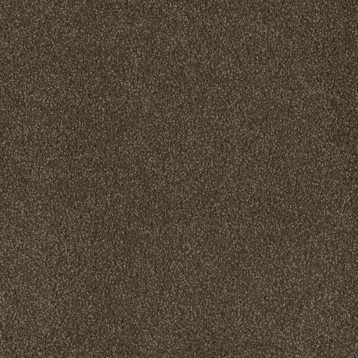 DreamWeaver - Hammond Creek II - Carpet