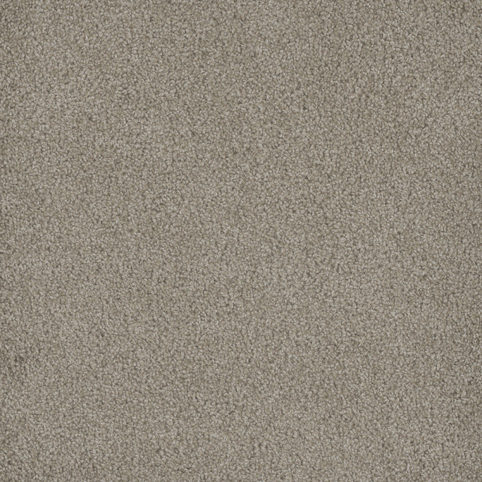 DreamWeaver - Hammond Creek II - Carpet