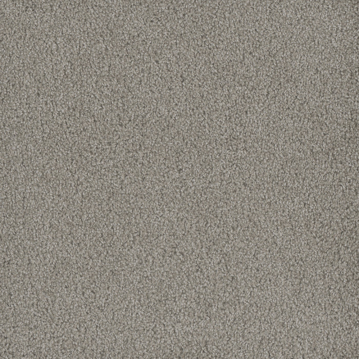 DreamWeaver - Hammond Creek II - Carpet