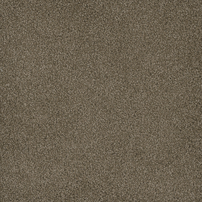 DreamWeaver - Hammond Creek II - Carpet
