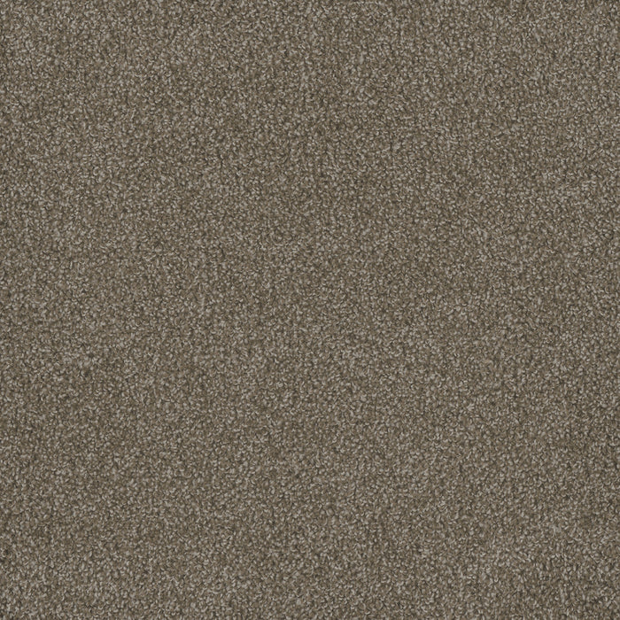 DreamWeaver - Hammond Creek II - Carpet