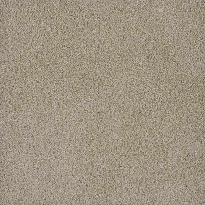 DreamWeaver - Hammond Creek II - Carpet