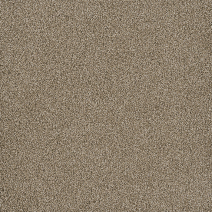 DreamWeaver - Hammond Creek II - Carpet