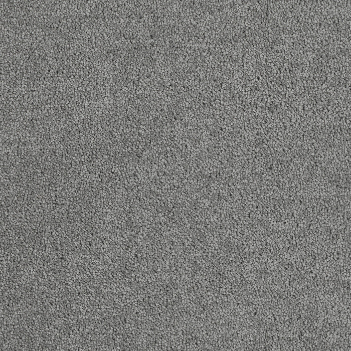 DreamWeaver - Hollywood - Carpet