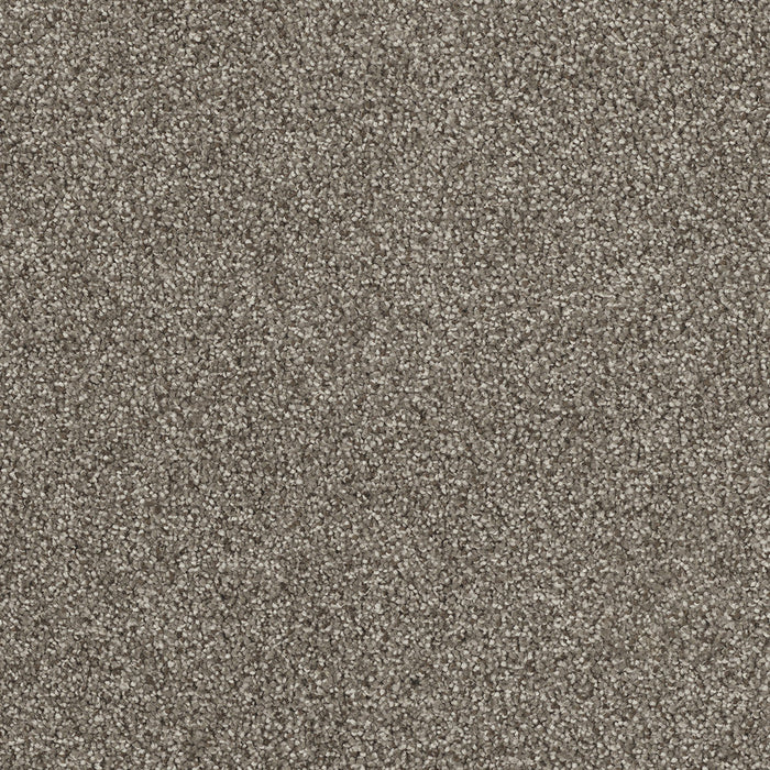 DreamWeaver - Hollywood - Carpet