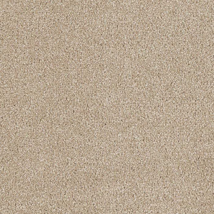 DreamWeaver - Hollywood - Carpet