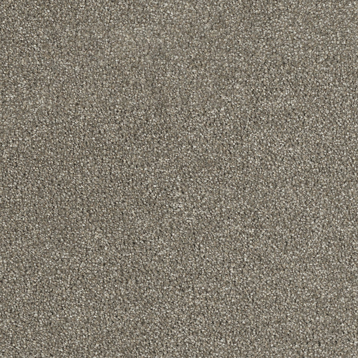 DreamWeaver - Hollywood - Carpet