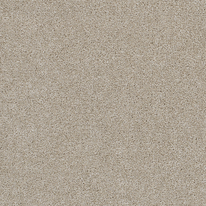 DreamWeaver - Hollywood - Carpet