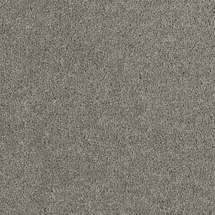 DreamWeaver - Hollywood - Carpet