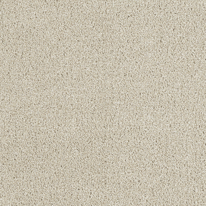 DreamWeaver - Hollywood - Carpet