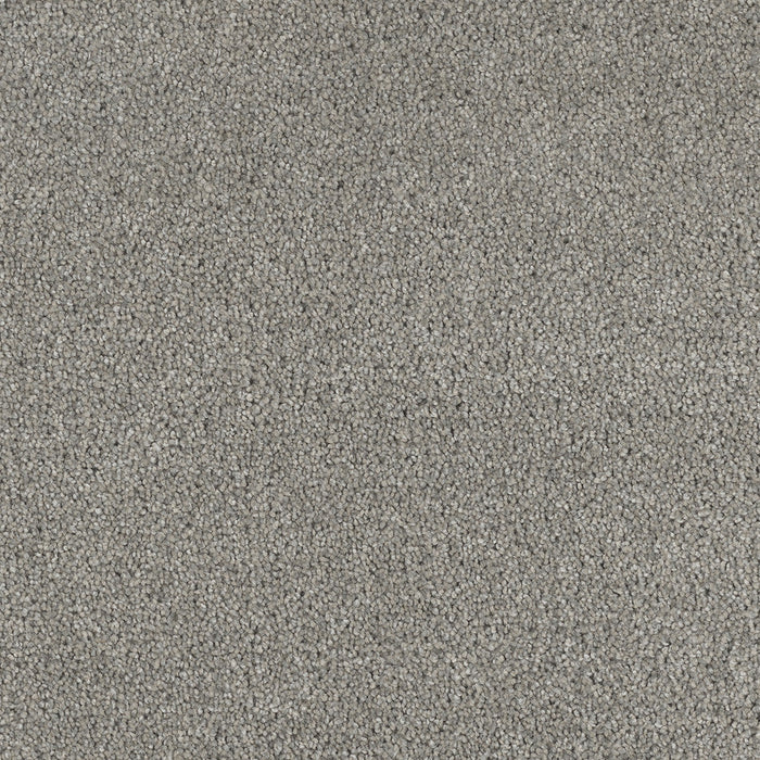 DreamWeaver - Hollywood - Carpet