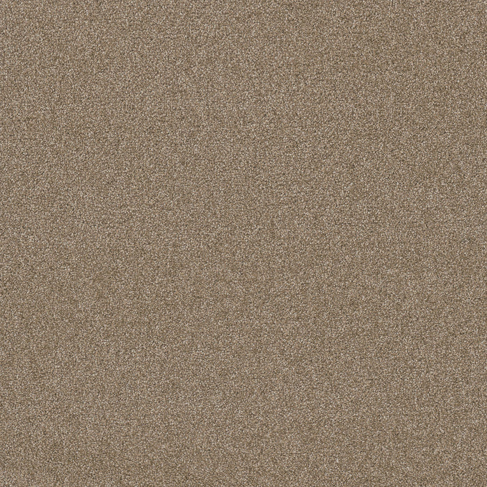 DreamWeaver - Hollywood - Carpet