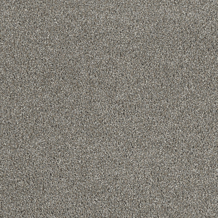 DreamWeaver - Hollywood - Carpet