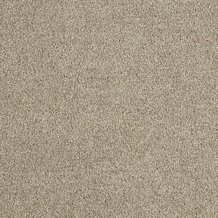 DreamWeaver - Hollywood - Carpet