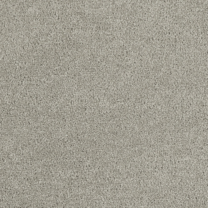 DreamWeaver - Hollywood - Carpet