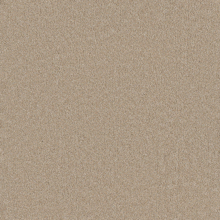 DreamWeaver - Hollywood - Carpet