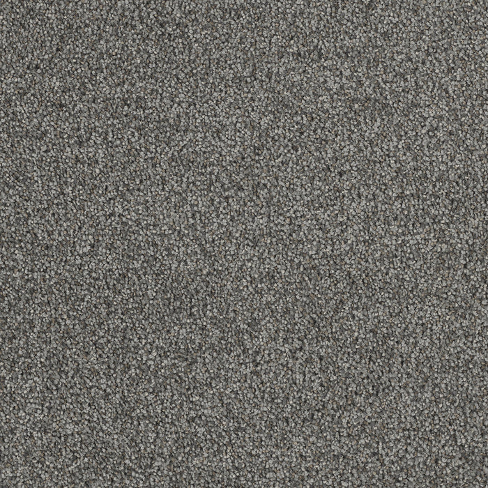 DreamWeaver - Hollywood - Carpet