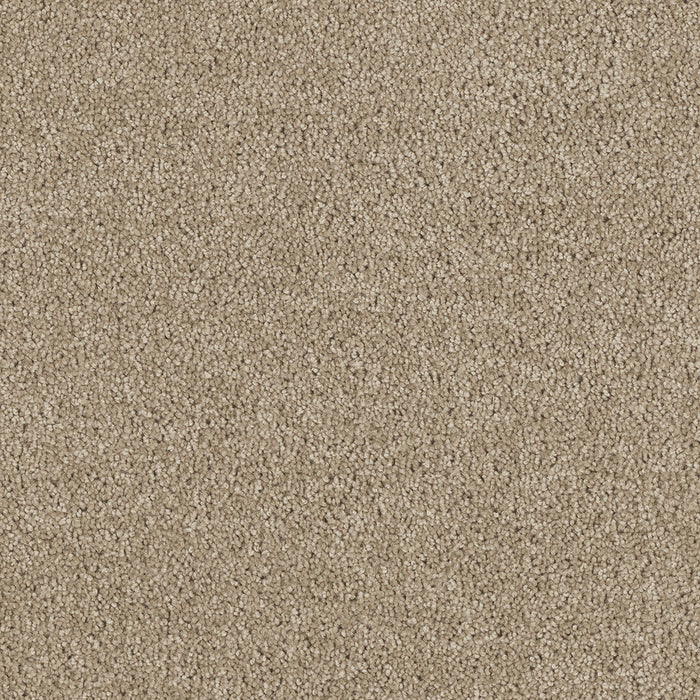 DreamWeaver - Hollywood - Carpet