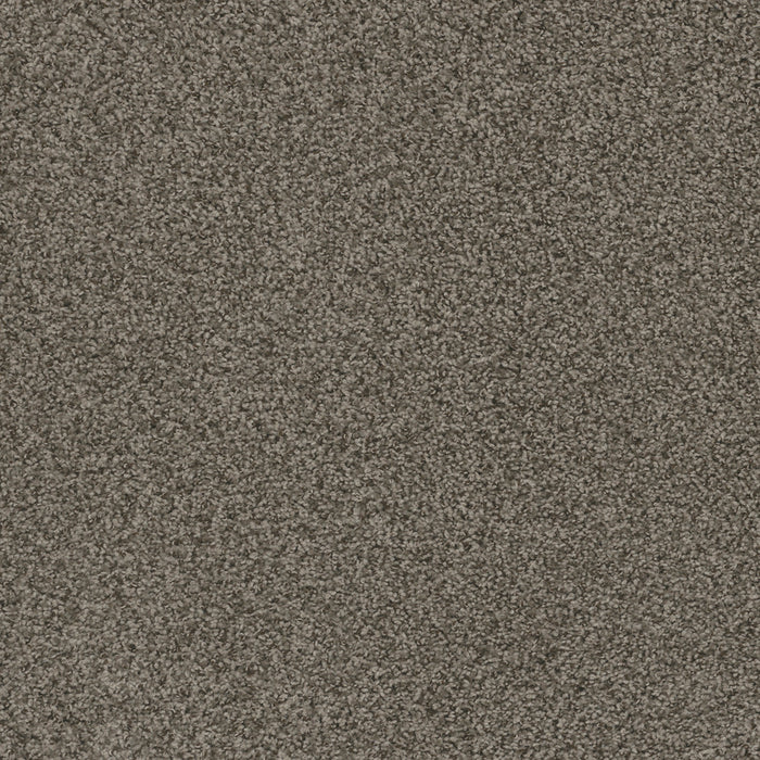 DreamWeaver - Hot Pursuit - Carpet