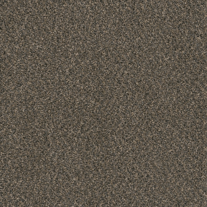 DreamWeaver - Hot Pursuit - Carpet
