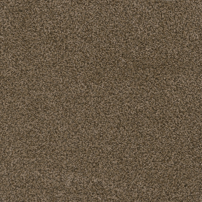 DreamWeaver - Hot Pursuit - Carpet