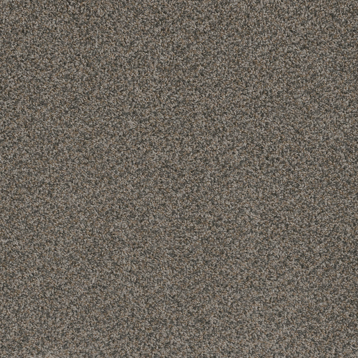 DreamWeaver - Hot Pursuit - Carpet