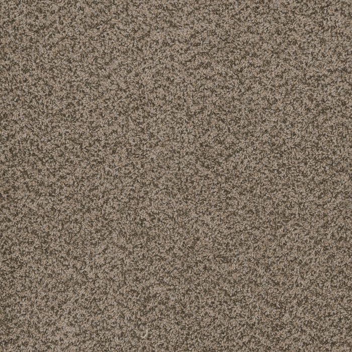 DreamWeaver - Hot Pursuit - Carpet