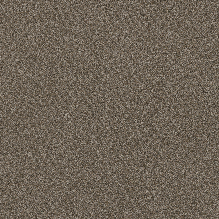 DreamWeaver - Hot Pursuit - Carpet