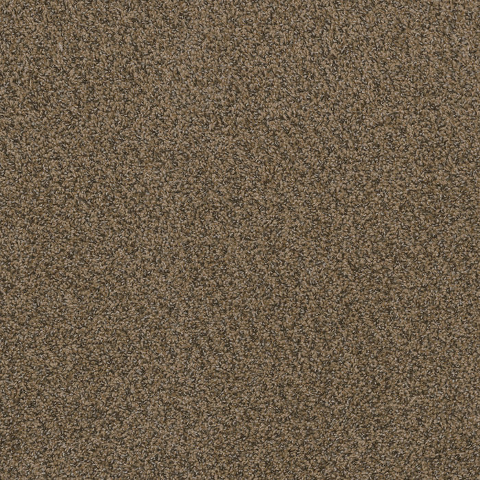 DreamWeaver - Hot Pursuit - Carpet