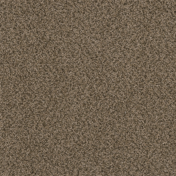 DreamWeaver - Hot Pursuit - Carpet
