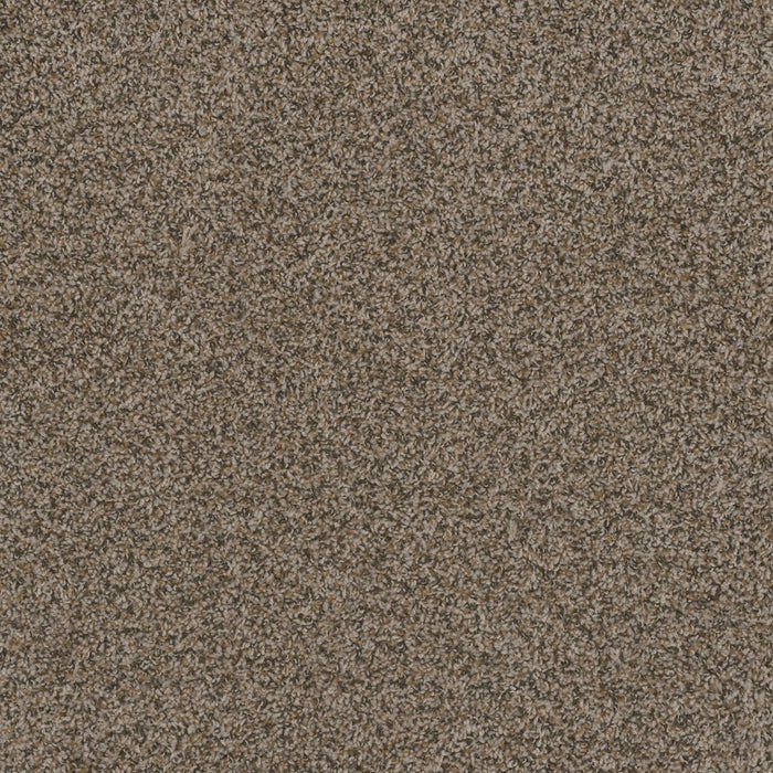 DreamWeaver - Hot Pursuit - Carpet