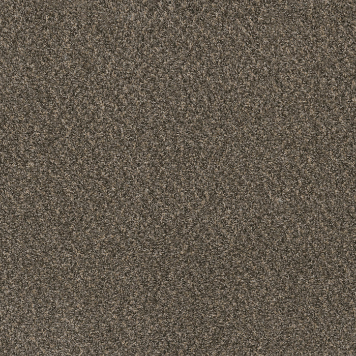 DreamWeaver - Hot Pursuit - Carpet