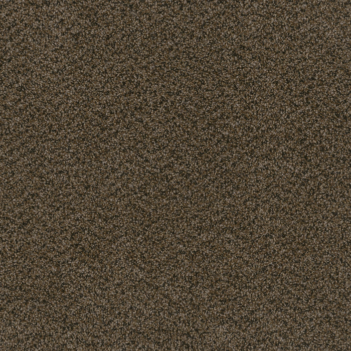DreamWeaver - Hot Pursuit - Carpet