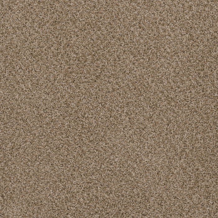 DreamWeaver - Hot Pursuit - Carpet